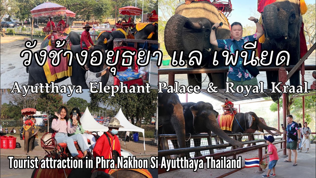 Explore the Historic Ayutthaya Elephant Palace & Royal Kraal