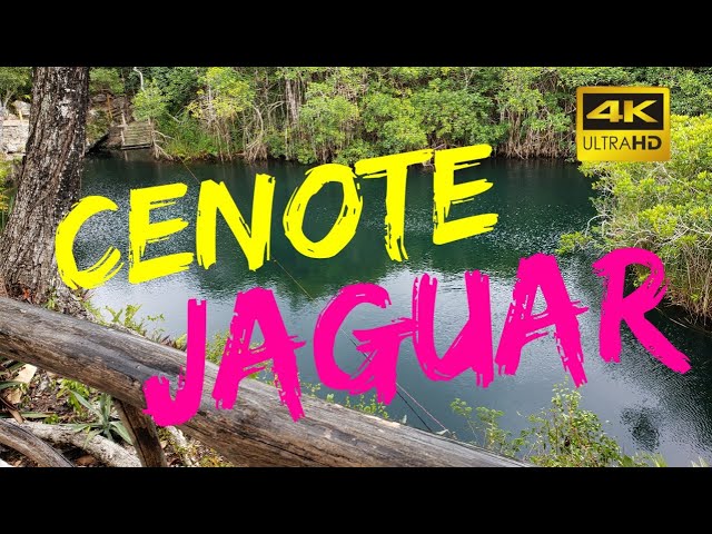 Explore the Majestic Cenote Jaguar: A Must-See Natural Wonder