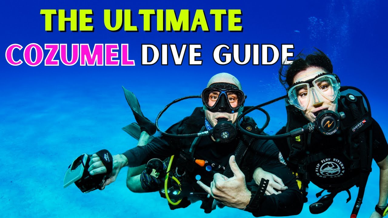 Explore Cozumel Dive Sites with This Map - Get the Best Scuba Diving Experience