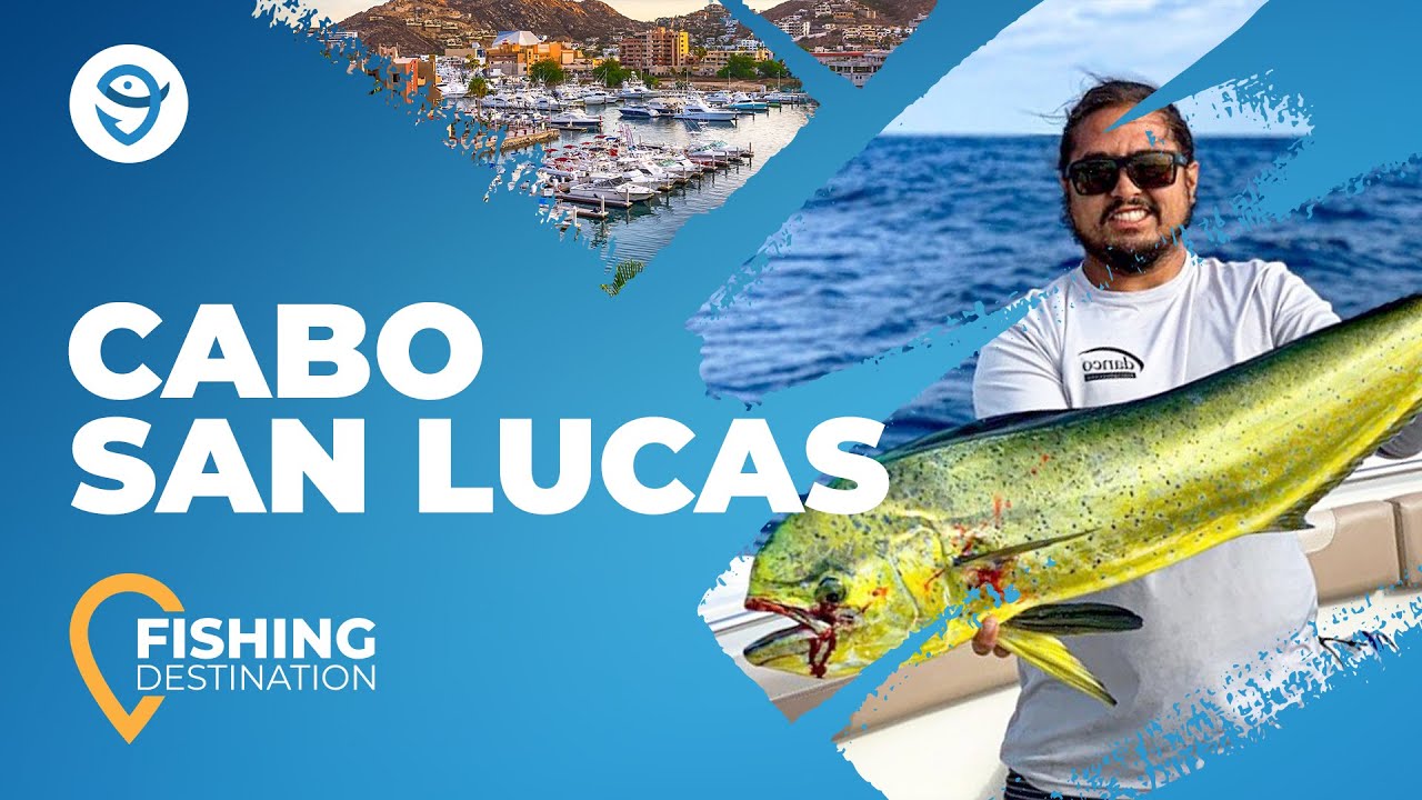 Cabo San Lucas Fishing: The Ultimate Guide to Fishing in Mexico's Top Destination