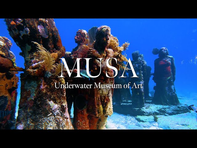 Explore the Underwater Museum of Isla Mujeres: Unearth the Treasures Below