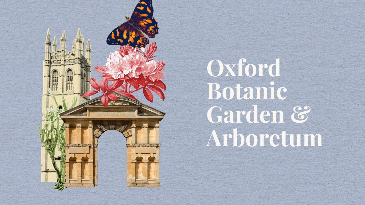 Discover the Benefits of Joining the OBGA Oxford and Be Part of a Thriving Community