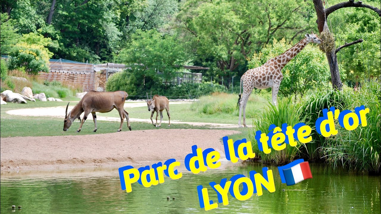 Prix des Billets du Parc de la Tête d'Or - Meilleurs Tarifs Disponibles!