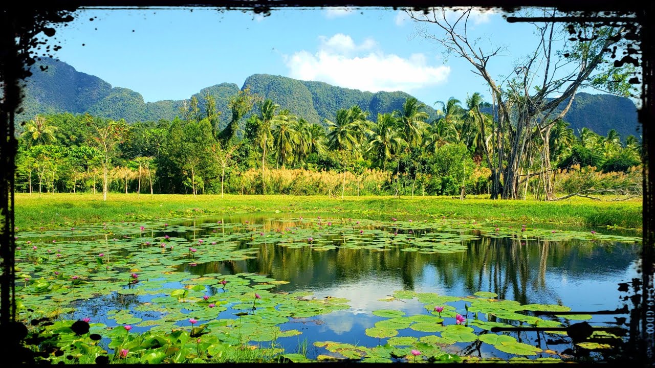 Exploring the Beauty of Phang Nga Town - A Must Visit Destination in Thailand