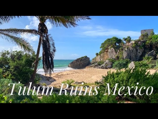 Explore the Ancient Wonders of the Tulum Archeological Zone