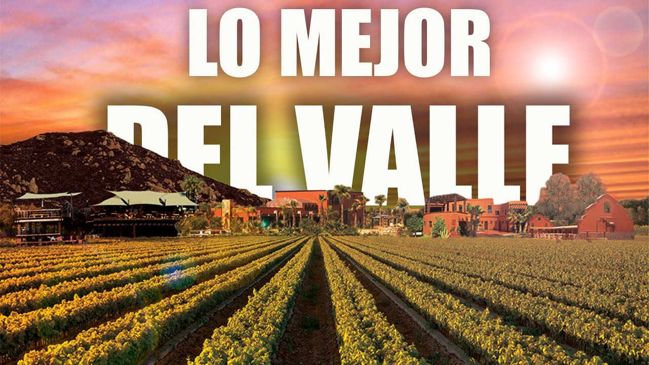 Explore the Spectacular Vinedos of Valle de Guadalupe