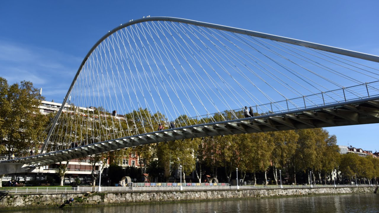 Exploring the Unique Zubizuri Bridge Structure: An Architectural Masterpiece