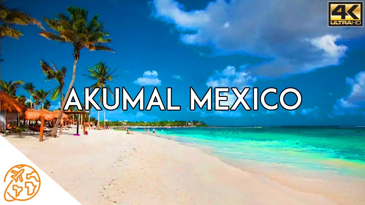 Explore Akumal Beach: The Best Beach in Mexico