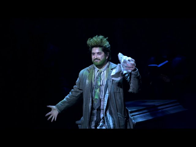 Experience the Magic of 'Beetlejuice' on Broadway!