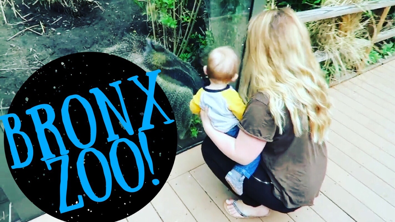 Throw an Unforgettable Birthday Party at the Bronx Zoo!