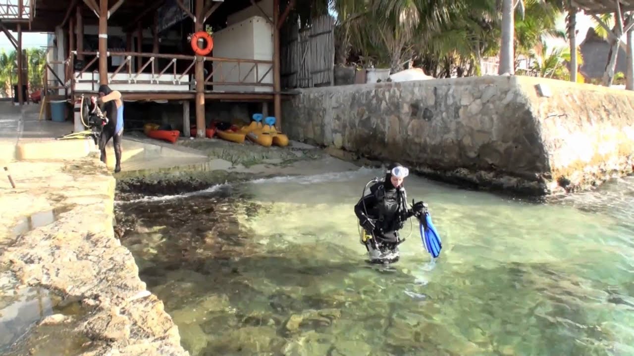 Experience Blue Angel Cozumel - The Best Diving in Mexico!