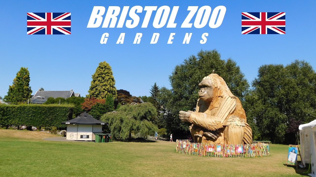 Bristol Zoo Gardens Map: Get the Most Out of Your Visit