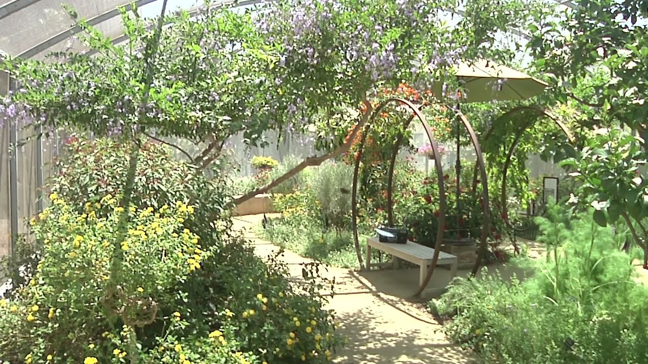 Explore a Butterfly Garden at the Natural History Museum