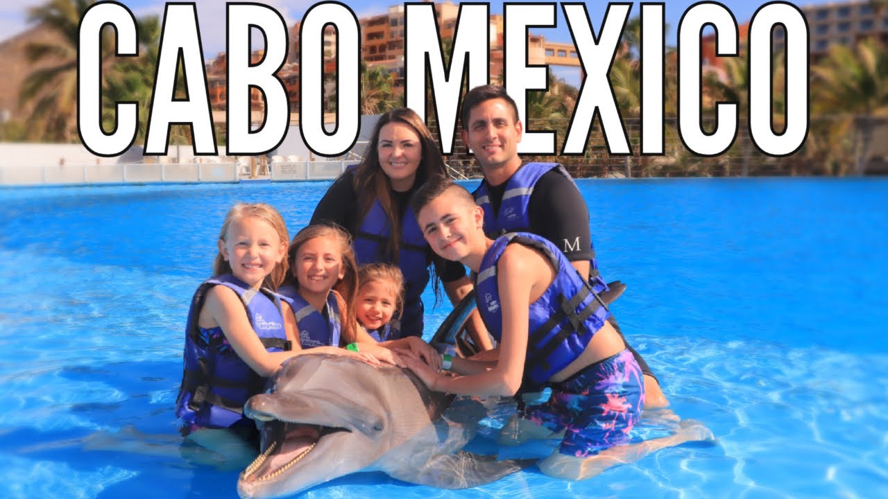 Experience a Thrilling Cabo Dolphin Swim!