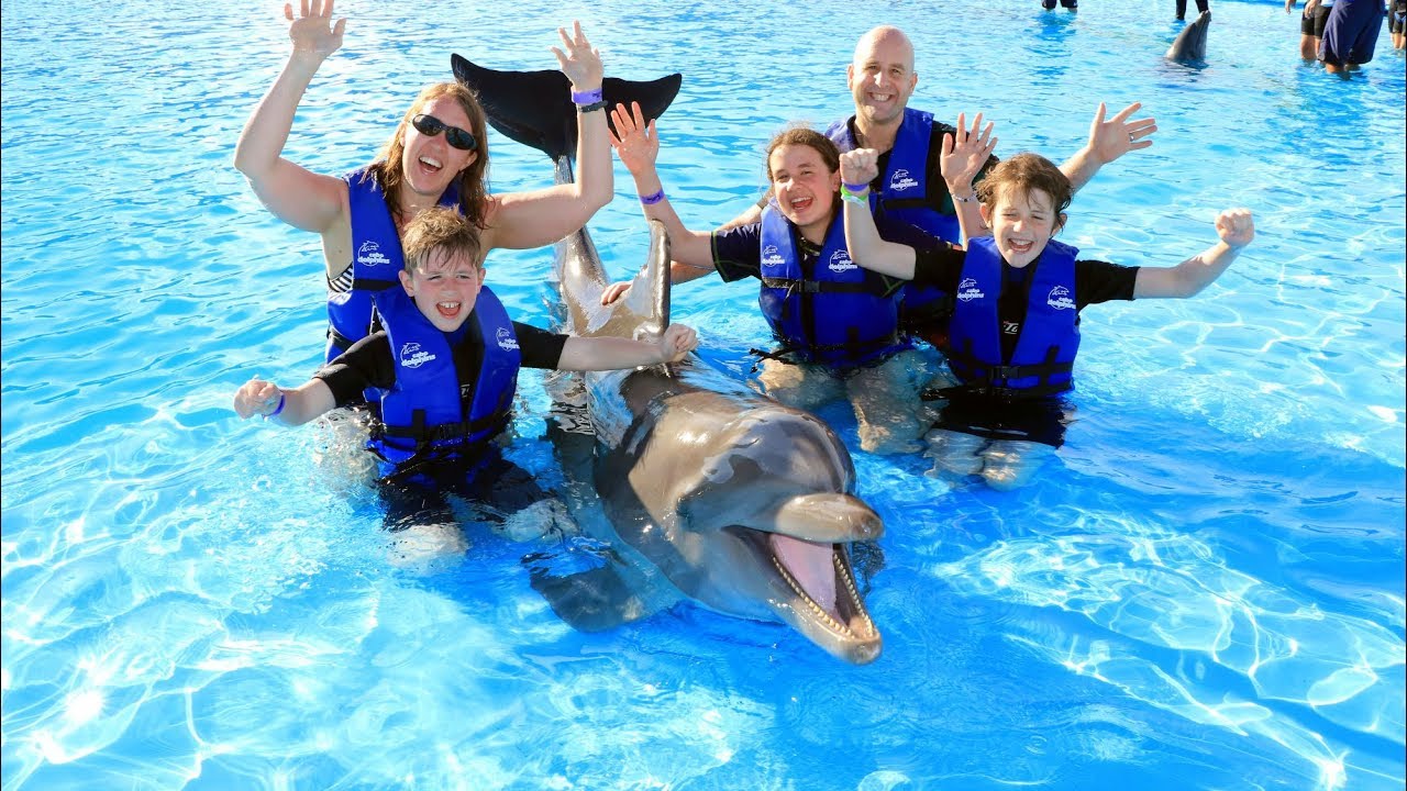 Swim with Cabo Dolphins: An Unforgettable Experience!