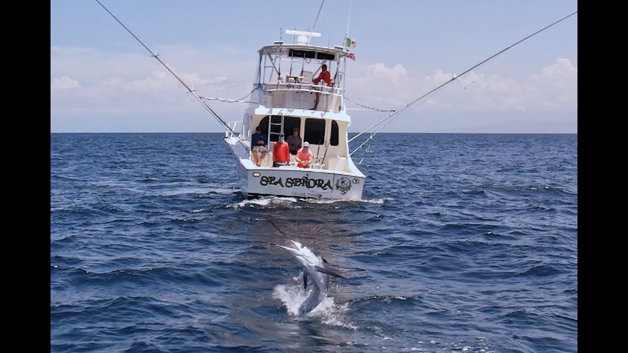 Cabo San Lucas Fishing Report: Catch the Best Fish!