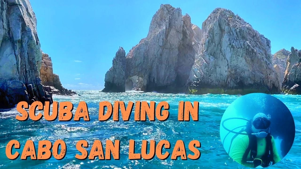 Experience the Best of Cabo Scuba Diving