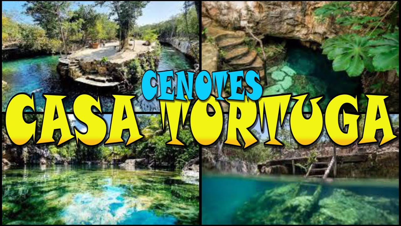 Casa Tortuga Tulum: The Best Cenote Party!