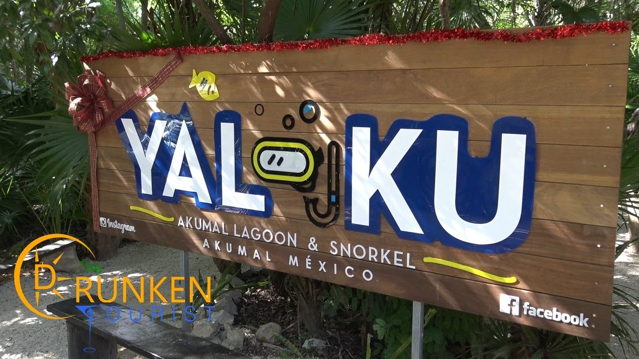 Explore Yal Ku Cenote - A Must-See in Mexico!