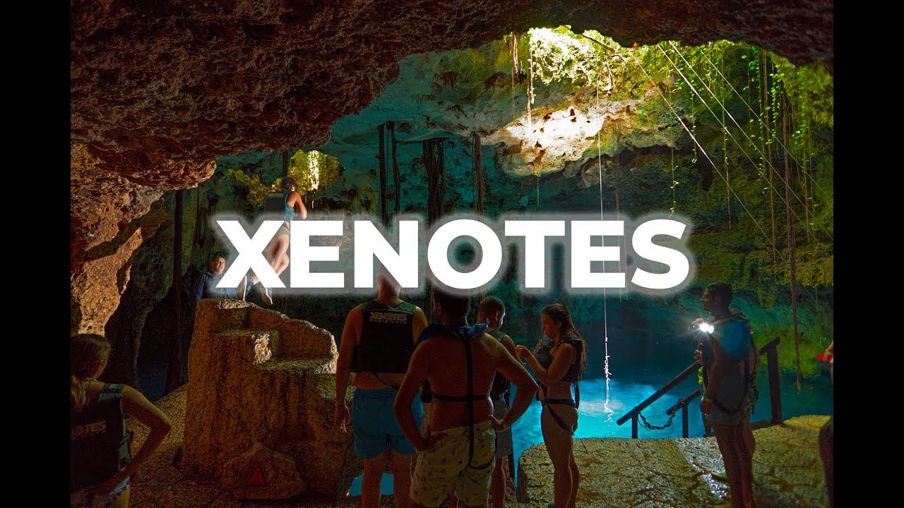 Explore the Amazing Cenotes Park: A Must-See Destination