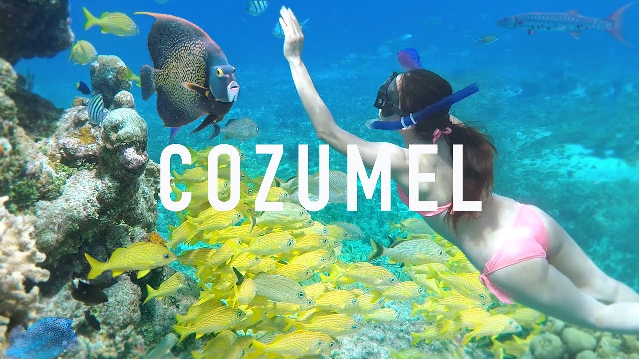 Explore Cozumel's Best Snorkeling Spots