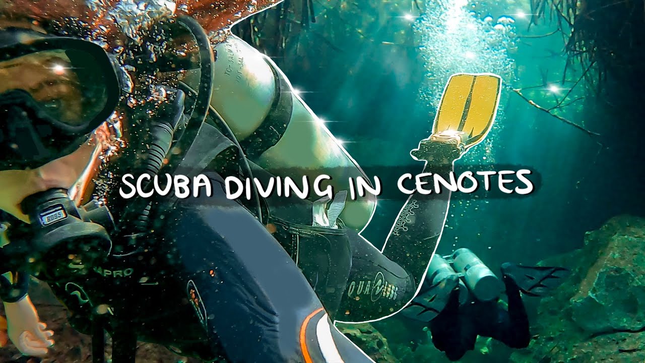 Explore the Underwater Wonders of Diving Tulum