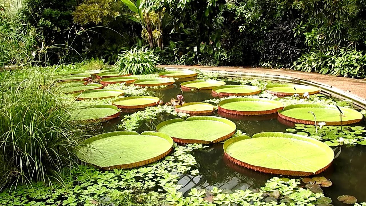 Explore Edinburgh's Botanic Gardens Glasshouses