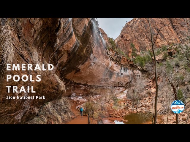 Exploring the Emerald Pools Trailhead: A Hiker's Guide