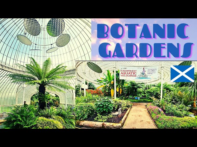 Explore the Glasgow Botanics Greenhouse