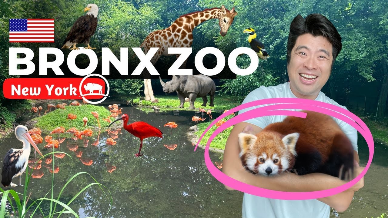 Discover How Big the Bronx Zoo Is - An Unforgettable Adventure Awaits!