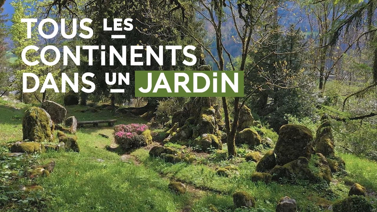 Explore the Alpine Botanical Garden of La Jaÿsinia