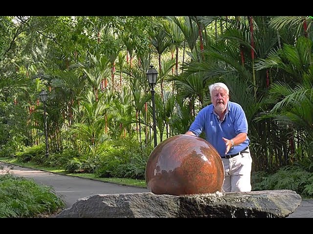 Explore the Beautiful Gardens of Singapore: Jardin Botanique