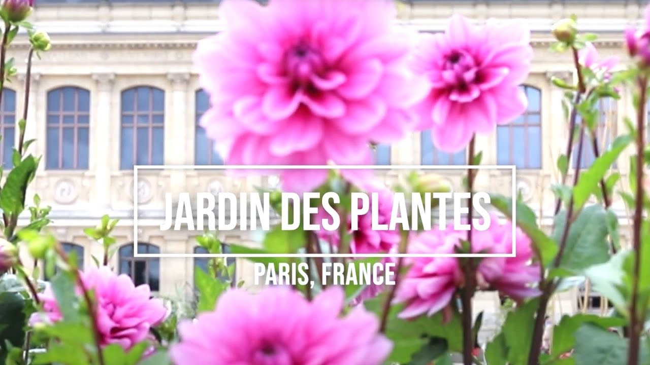 Exploring Anthropological Treasures at the Jardin des Plantes