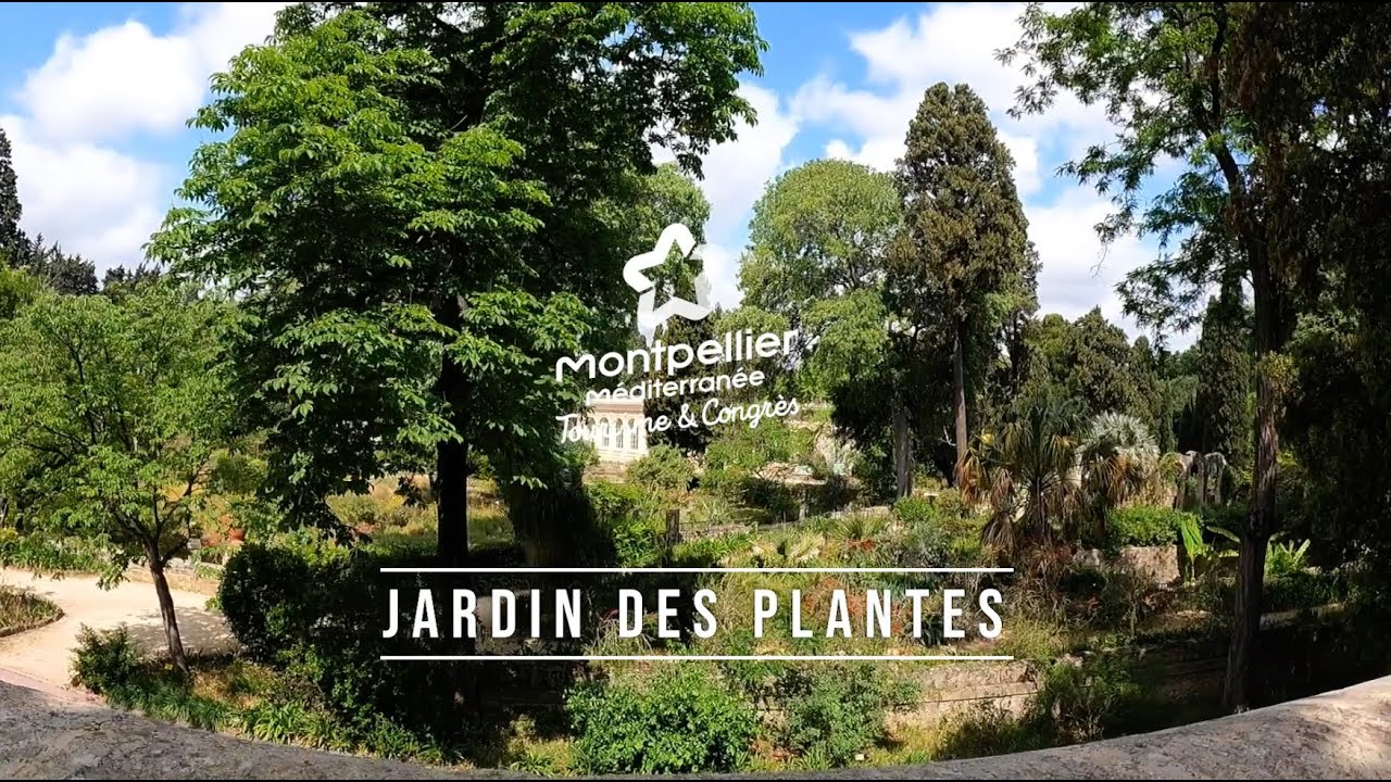 Explore Montpellier's Jardin des Plantes