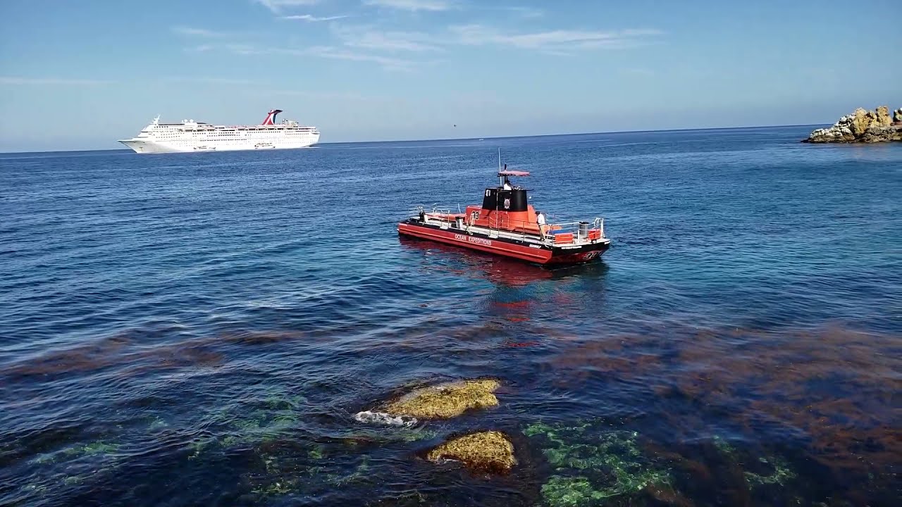 Discover the Beauty of Lovers Cove Snorkeling