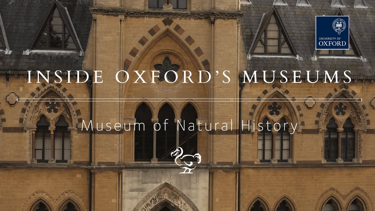 Exploring Oxford's National History Museum