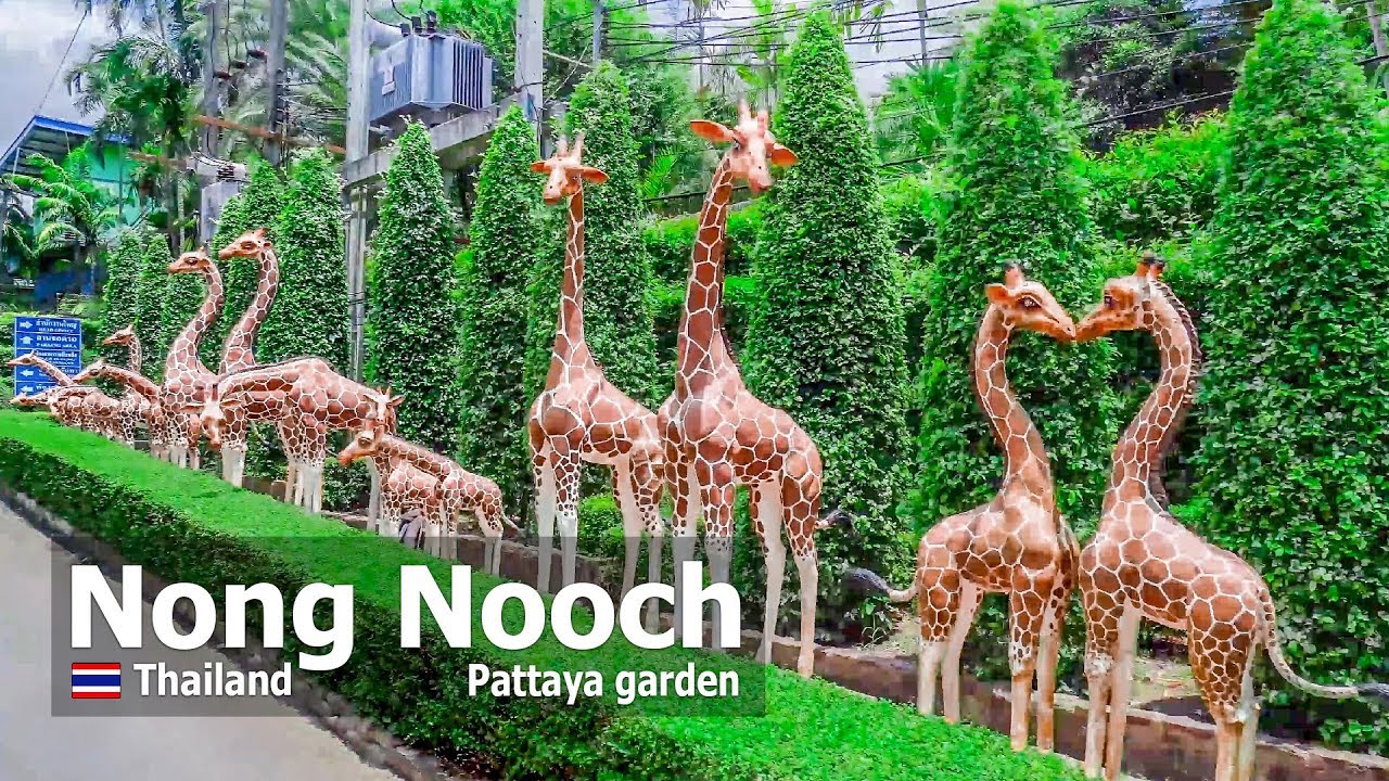 Explore the Beautiful Nong Nooch Garden