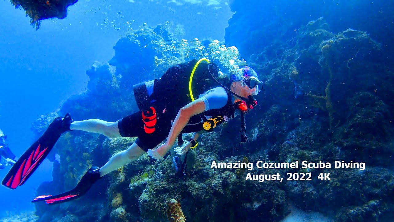 Explore the Best Scuba Diving in Cozumel