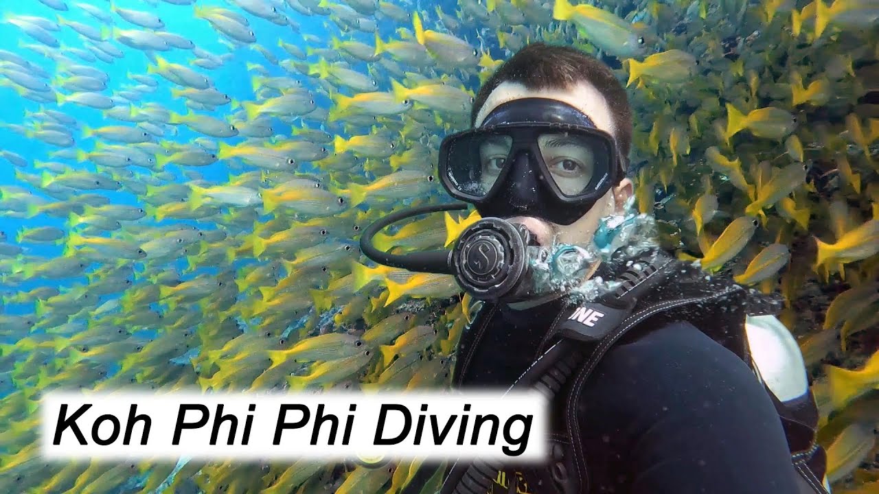 Scuba Diving in Phi Phi: An Unforgettable Experience