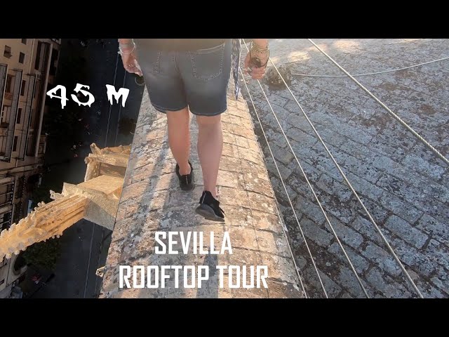 Explore Seville's Iconic Cathedral Rooftop on a Tour