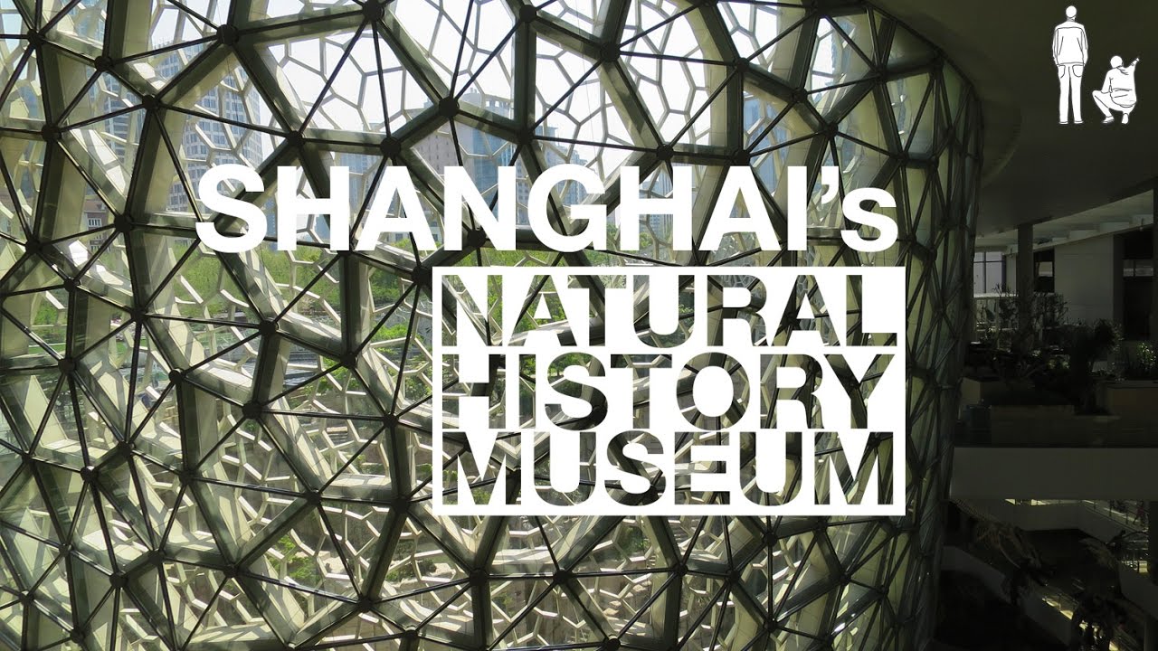 Explore Shanghai's Natural History Museum: Plan Your Visit