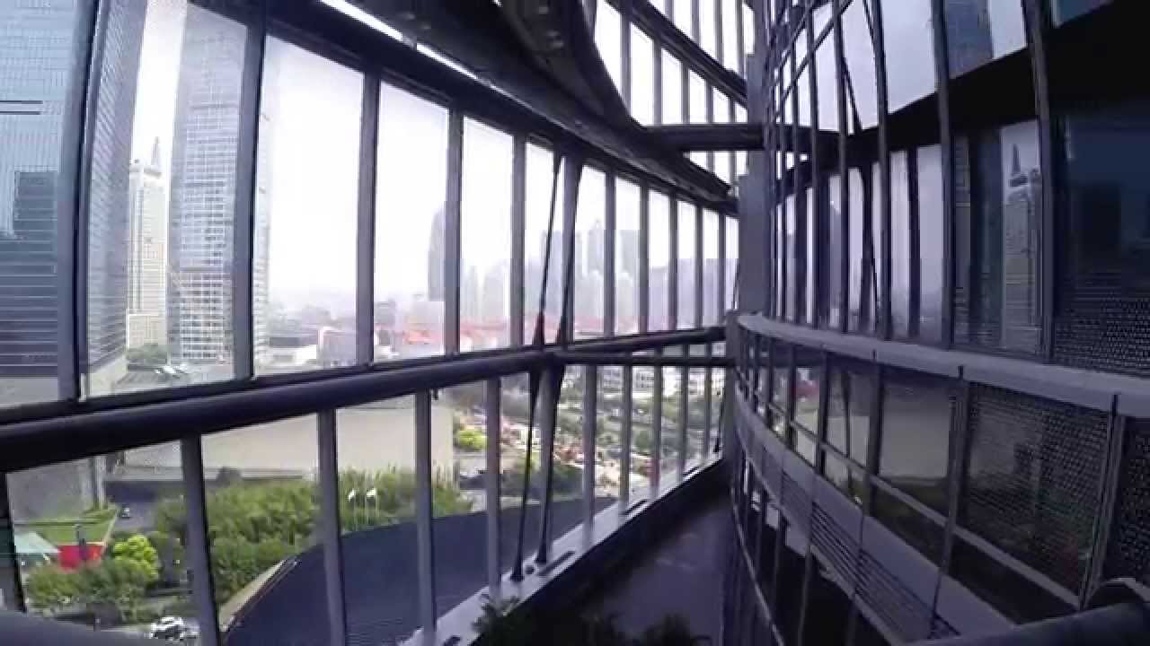 Explore the Beauty of the Shanghai Tower Garden