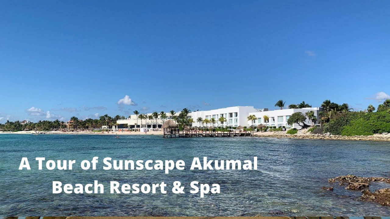 Experience Paradise at Sunscape Akumal Beach Resort & Spa