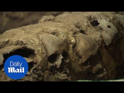 Exploring Mexico City's Templo Mayor Museum