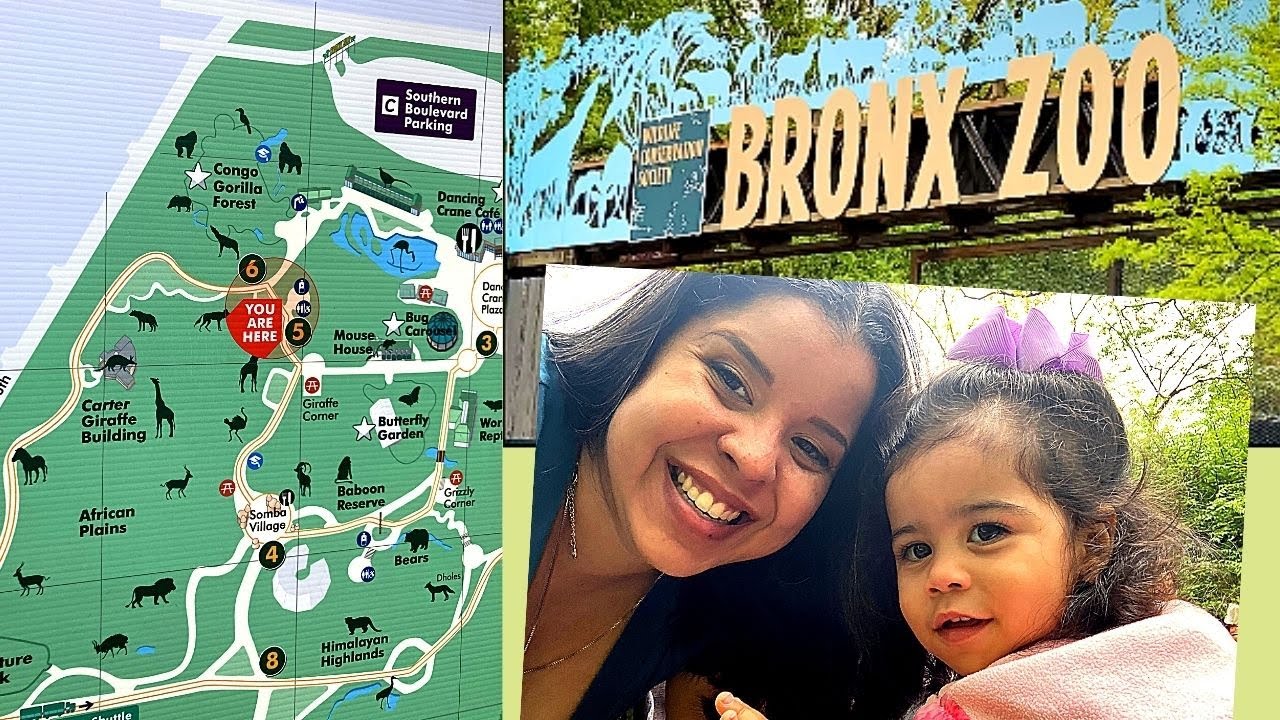 Get Discount Tickets to the Bronx Zoo Now!