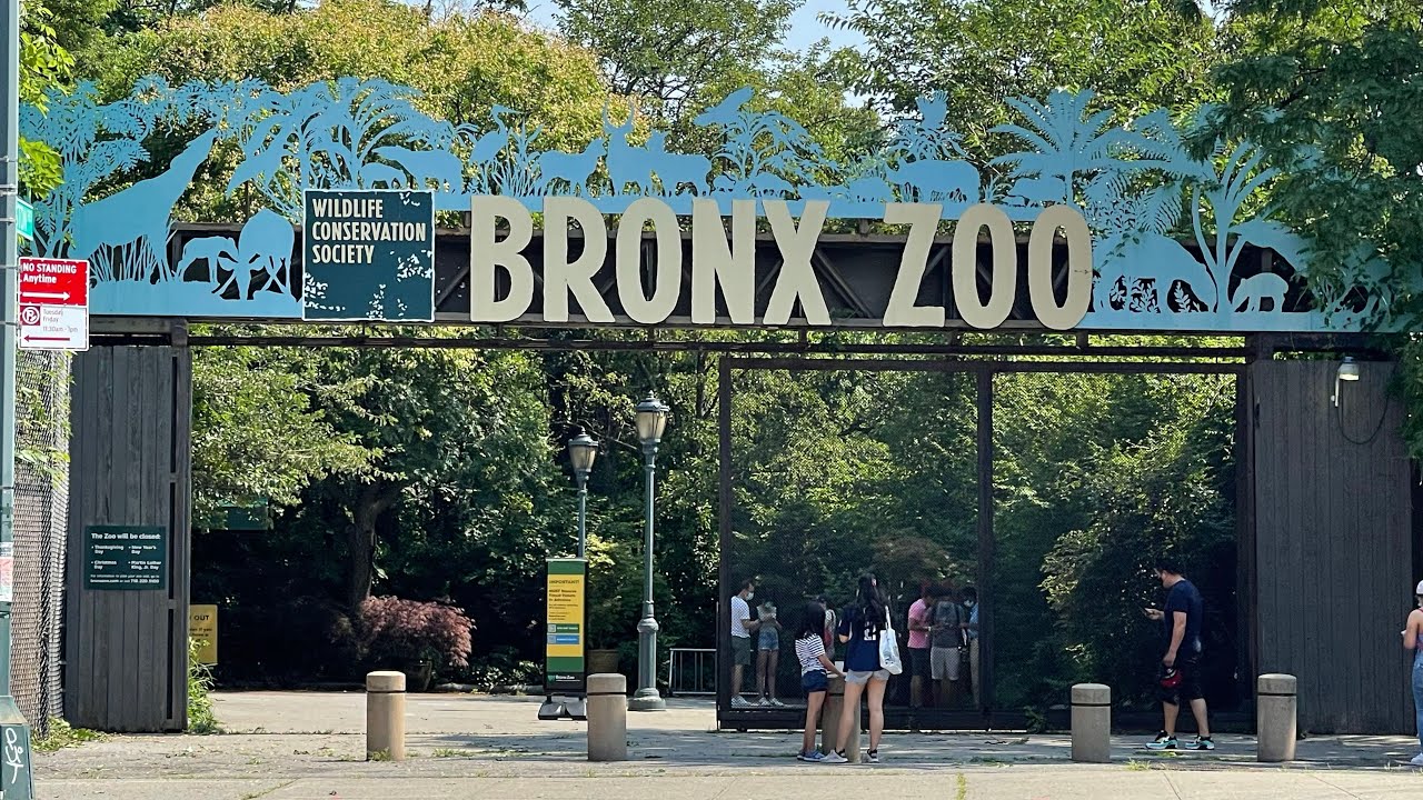 Enjoy a Free Trip to the Bronx Zoo Every Wednesday!