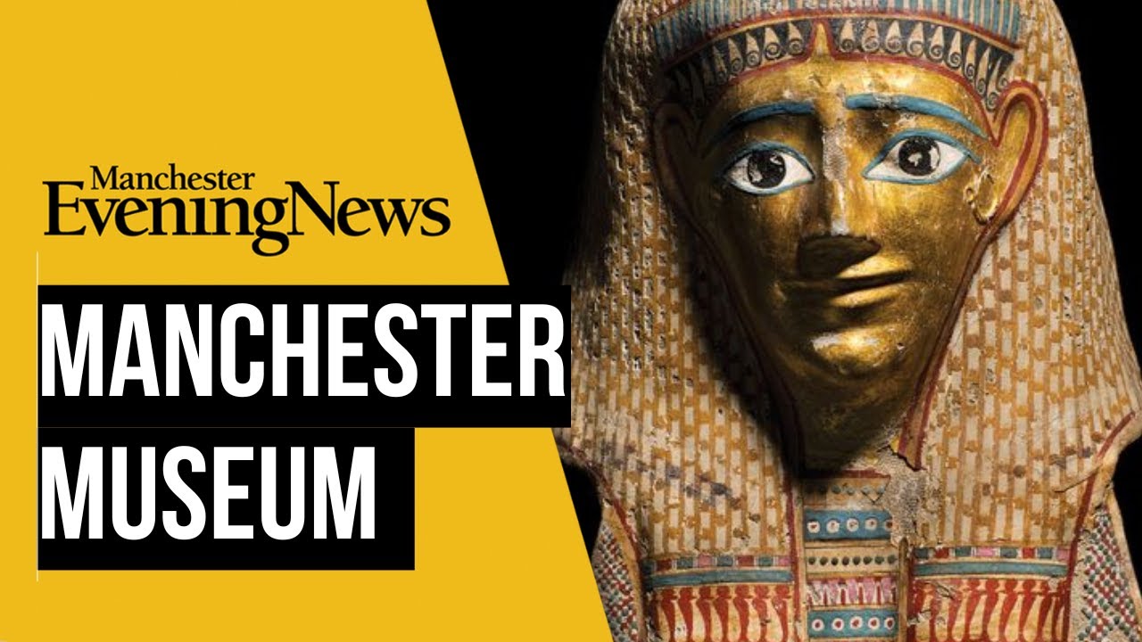 Discover the Rich History of the Manchester Museum