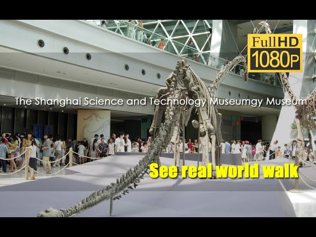 Explore the Wonders of the Shanghai Science and Technology Museum