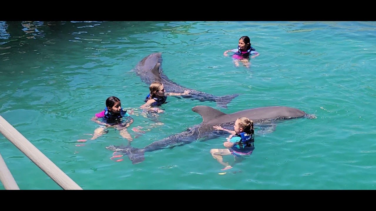 Swim with Dolphins at Xcaret Park