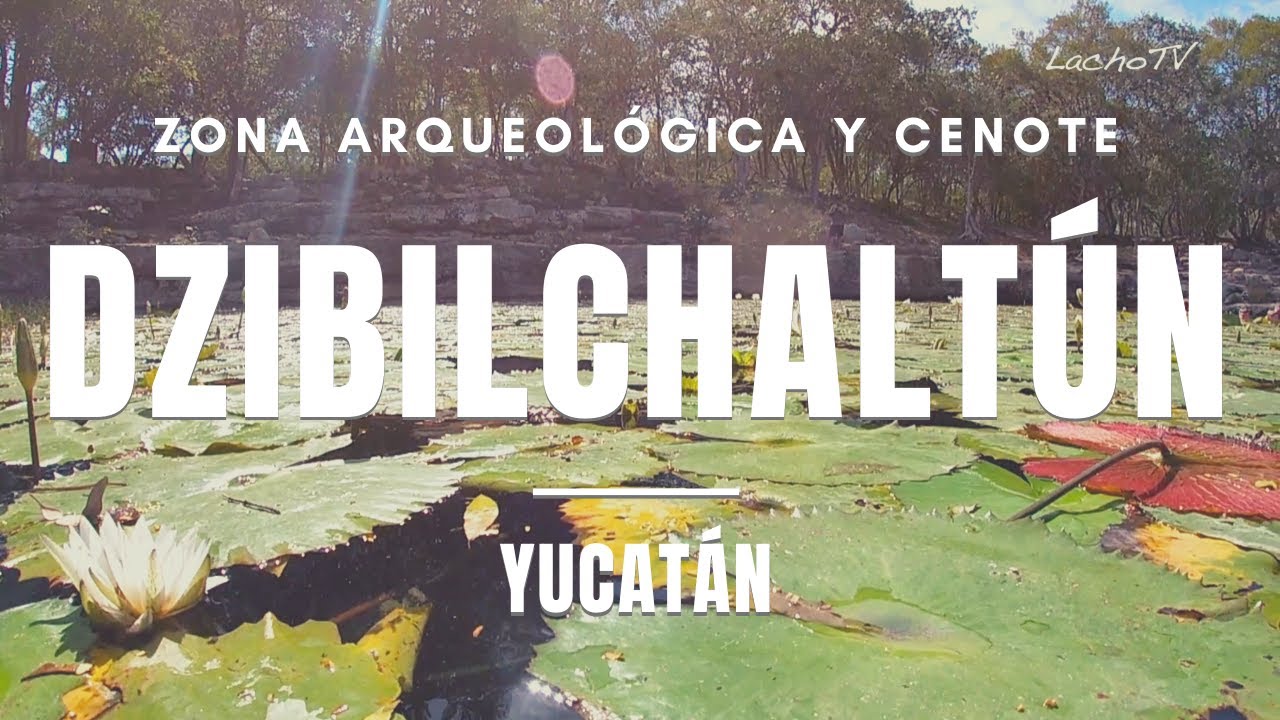 Explore the Magical Xlacah Cenote in Mexico